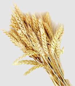 bat365(中国)在线平台官方网站-登录入口