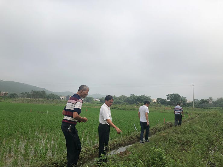 bat365(中国)在线平台官方网站-登录入口