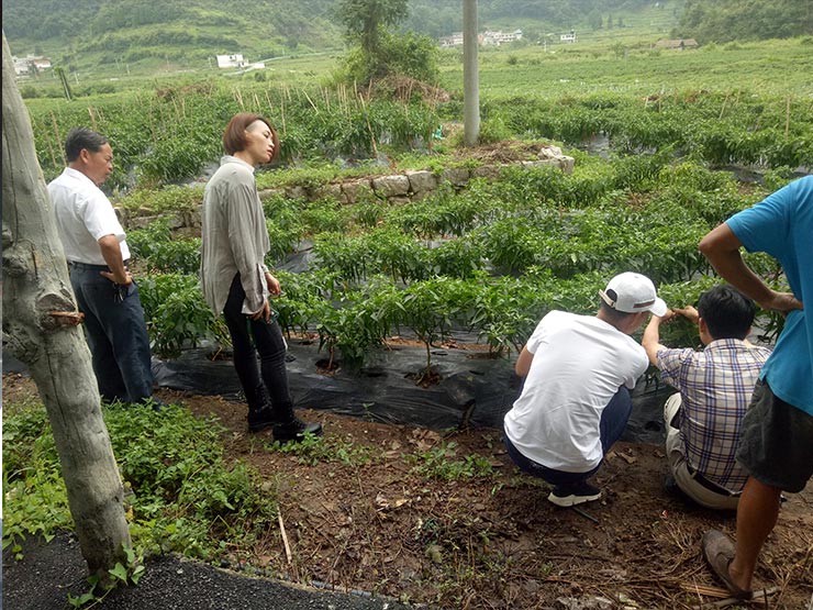 bat365(中国)在线平台官方网站-登录入口