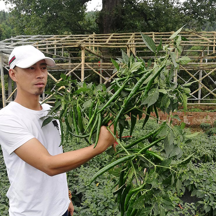 bat365(中国)在线平台官方网站-登录入口
