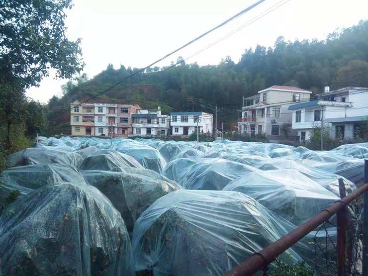 bat365(中国)在线平台官方网站-登录入口