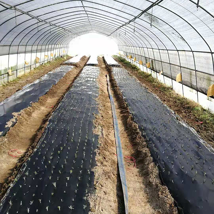 bat365(中国)在线平台官方网站-登录入口