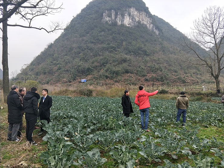bat365(中国)在线平台官方网站-登录入口