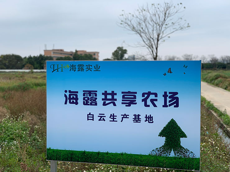 bat365(中国)在线平台官方网站-登录入口