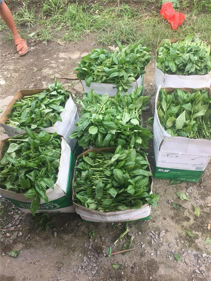 bat365(中国)在线平台官方网站-登录入口