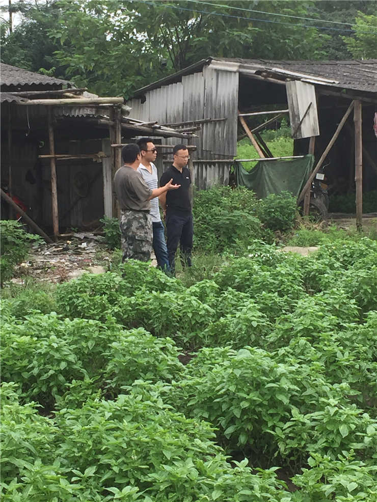 bat365(中国)在线平台官方网站-登录入口