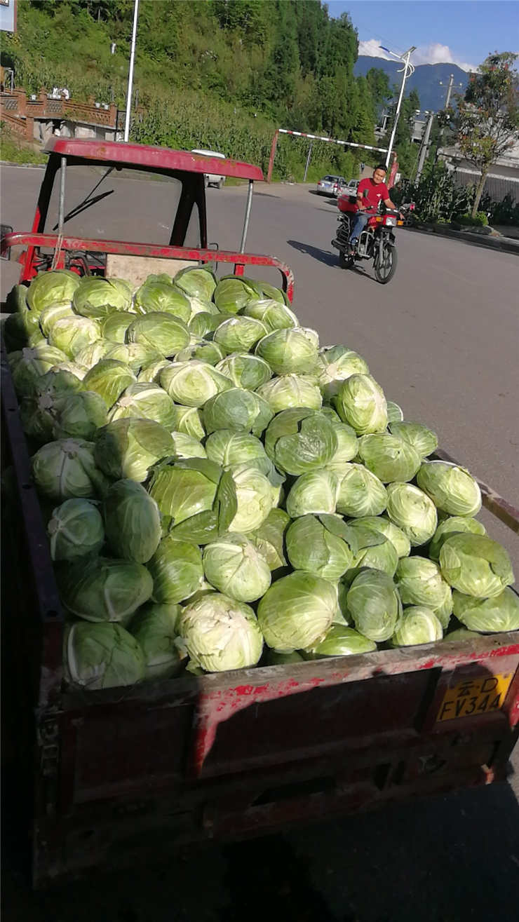 bat365(中国)在线平台官方网站-登录入口
