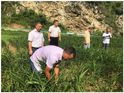 bat365(中国)在线平台官方网站-登录入口