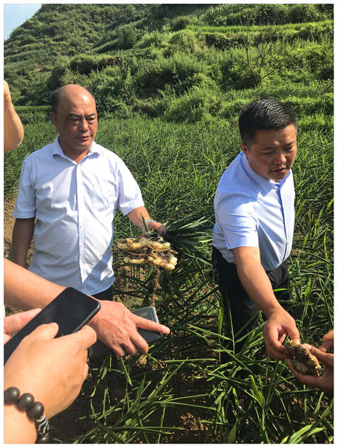 bat365(中国)在线平台官方网站-登录入口