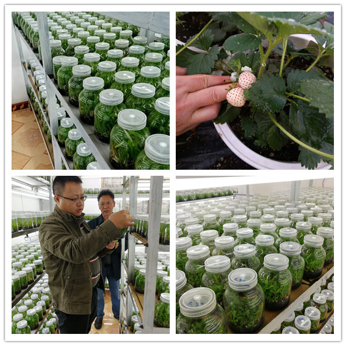 bat365(中国)在线平台官方网站-登录入口