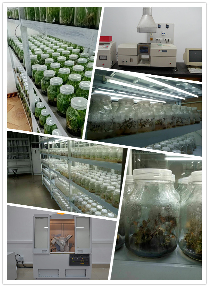 bat365(中国)在线平台官方网站-登录入口