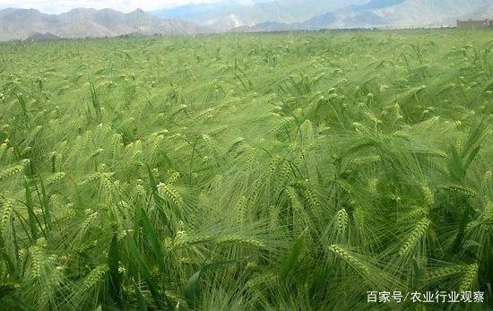 bat365(中国)在线平台官方网站-登录入口