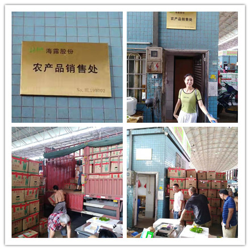 bat365(中国)在线平台官方网站-登录入口