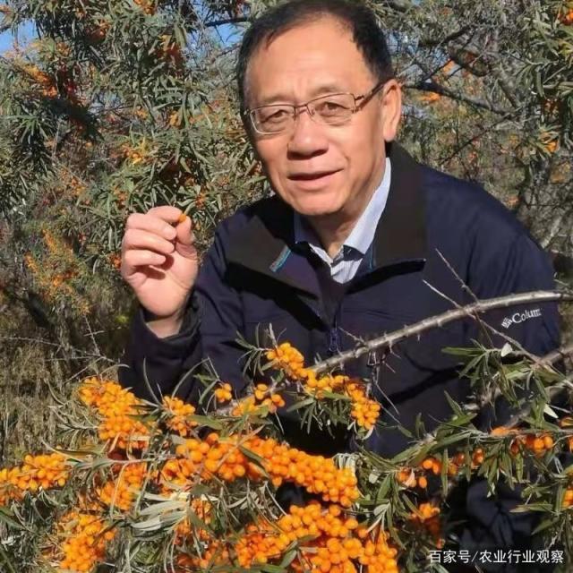 bat365(中国)在线平台官方网站-登录入口