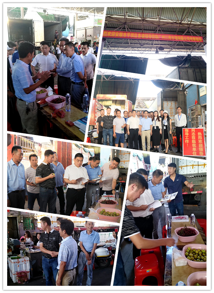 bat365(中国)在线平台官方网站-登录入口
