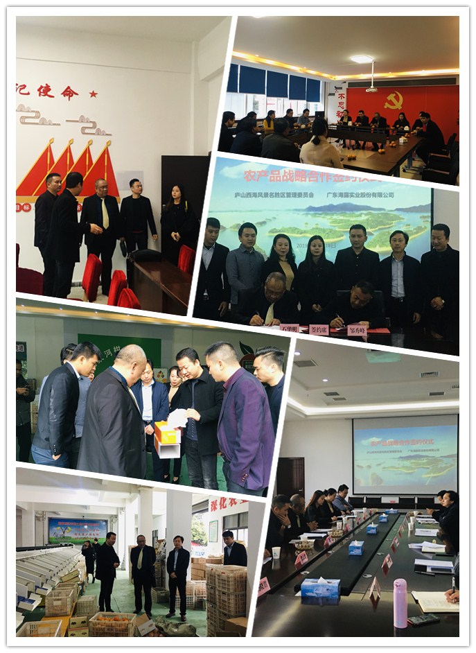 bat365(中国)在线平台官方网站-登录入口