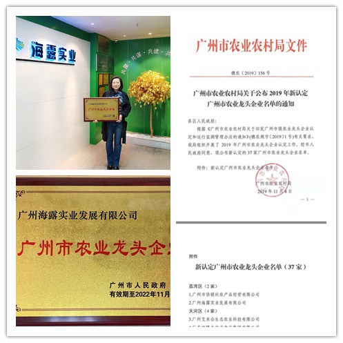 bat365(中国)在线平台官方网站-登录入口