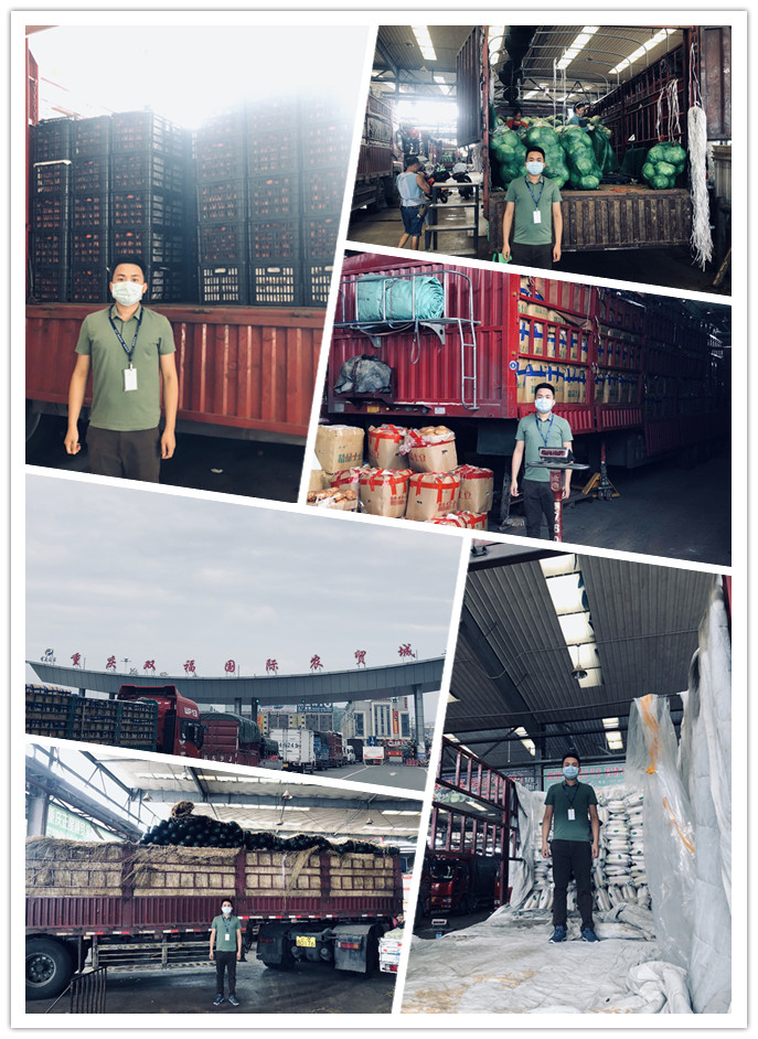 bat365(中国)在线平台官方网站-登录入口