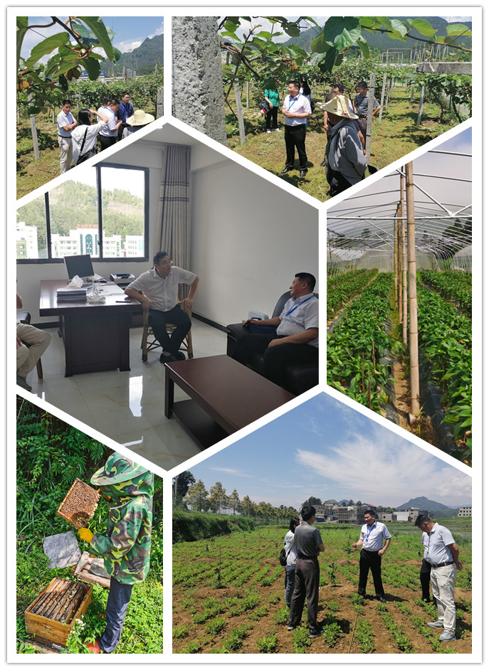 bat365(中国)在线平台官方网站-登录入口