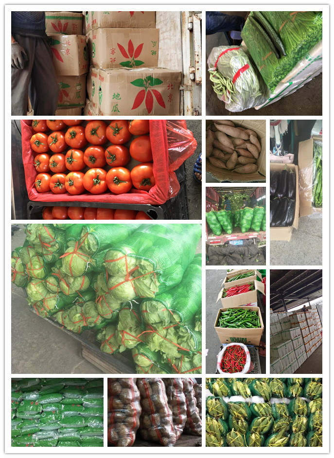 bat365(中国)在线平台官方网站-登录入口