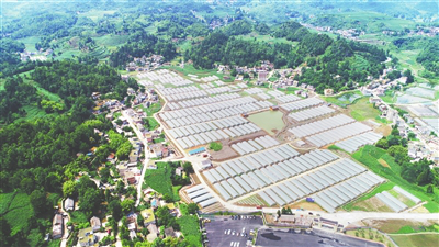 1-200S1101113244 bat365(中国)在线平台官方网站-登录入口