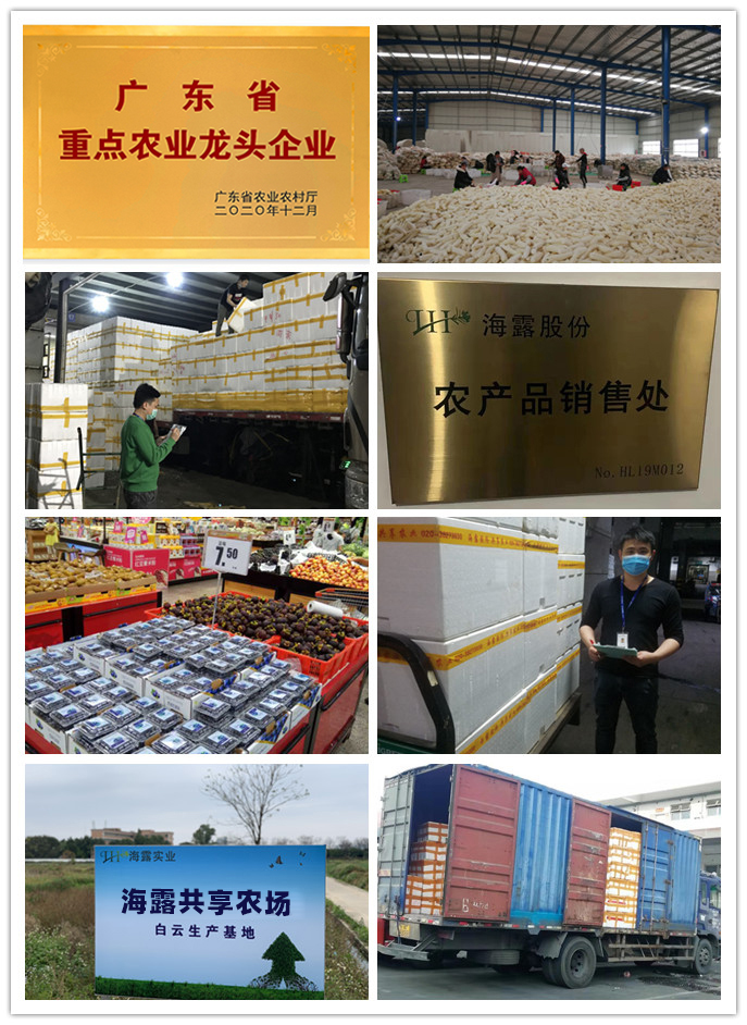 bat365(中国)在线平台官方网站-登录入口