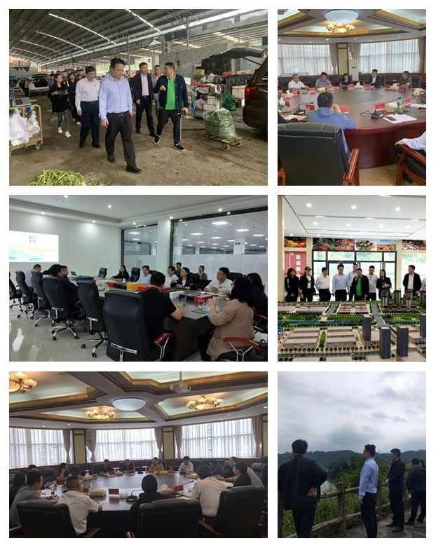 bat365(中国)在线平台官方网站-登录入口
