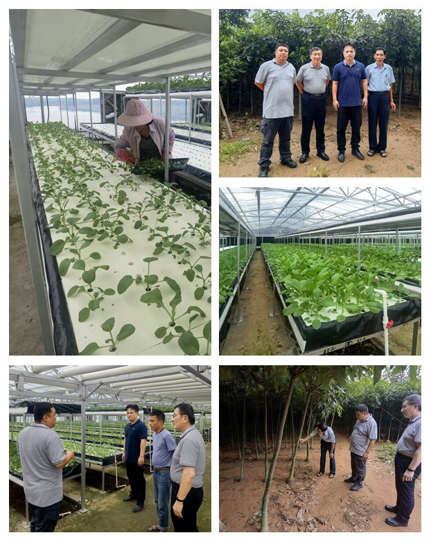 bat365(中国)在线平台官方网站-登录入口