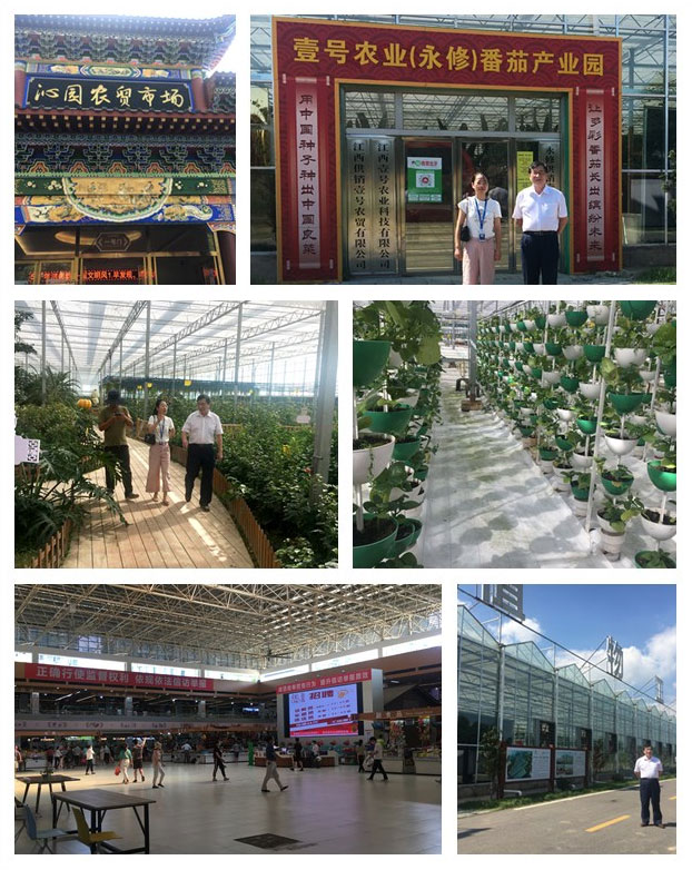bat365(中国)在线平台官方网站-登录入口