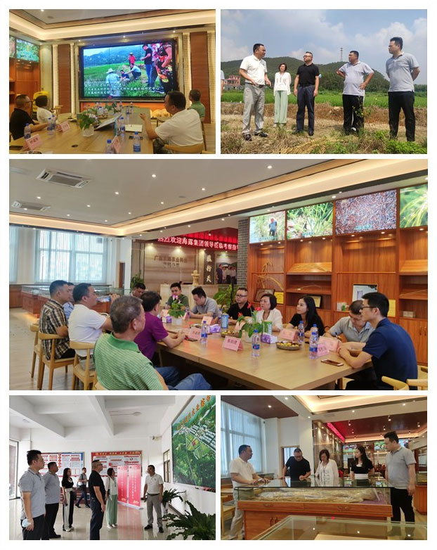 bat365(中国)在线平台官方网站-登录入口