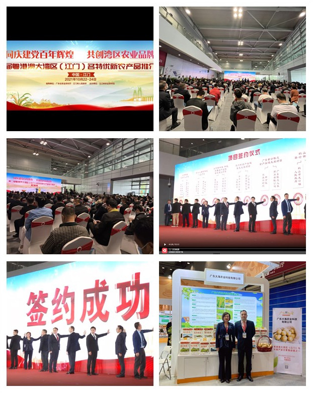 bat365(中国)在线平台官方网站-登录入口