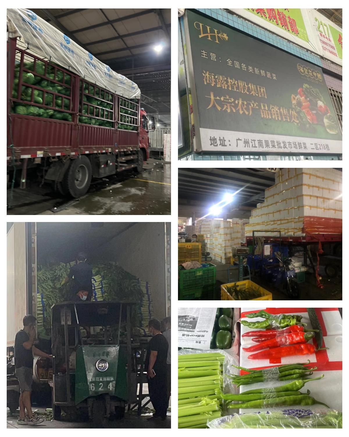 bat365(中国)在线平台官方网站-登录入口
