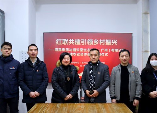 红联共建引领村落振兴，党建促业务深度融合