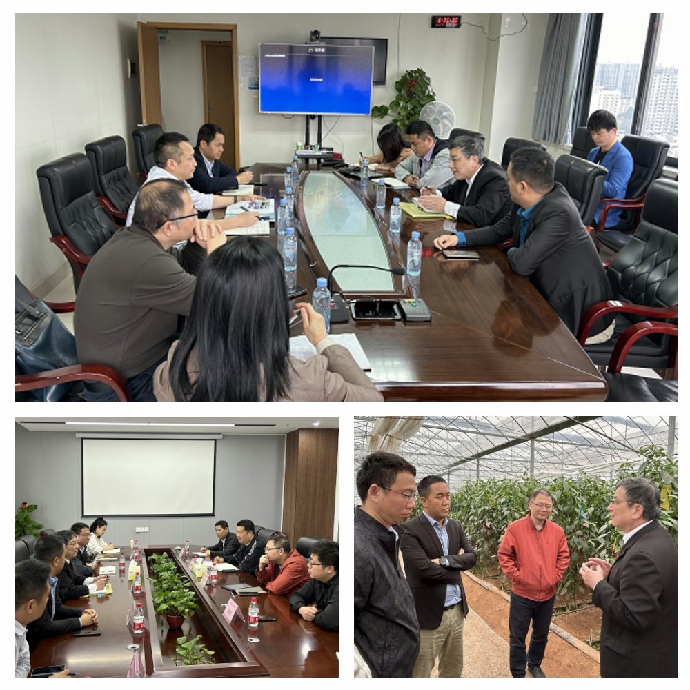 bat365(中国)在线平台官方网站-登录入口