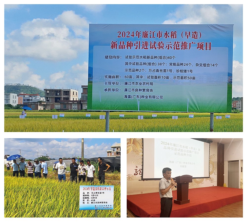 bat365(中国)在线平台官方网站-登录入口