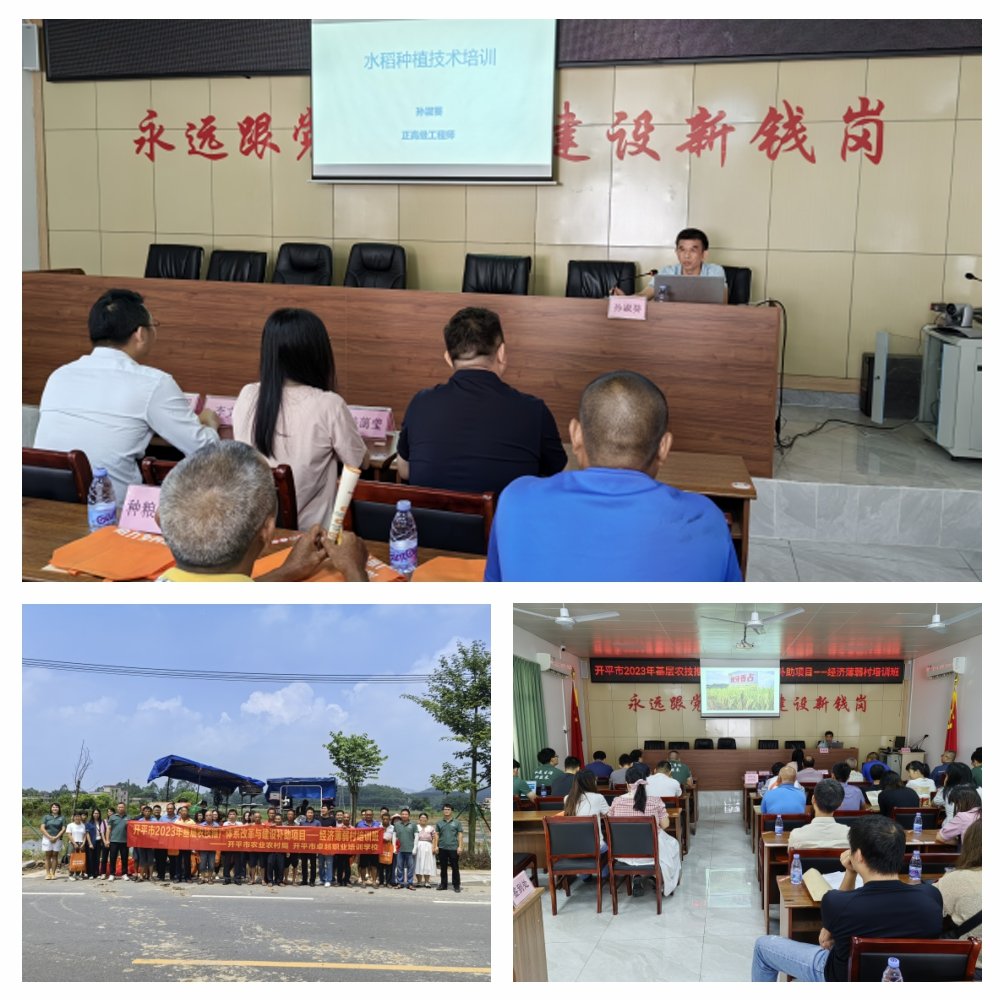 bat365(中国)在线平台官方网站-登录入口