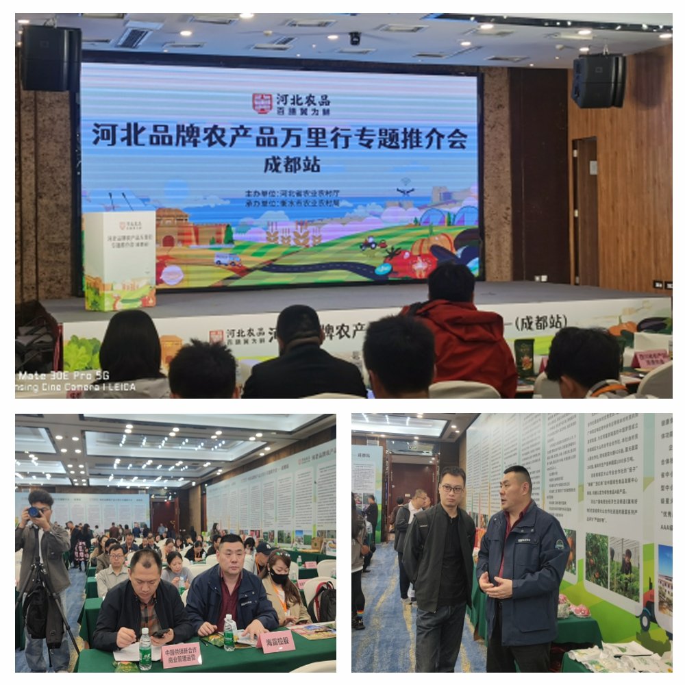 bat365(中国)在线平台官方网站-登录入口