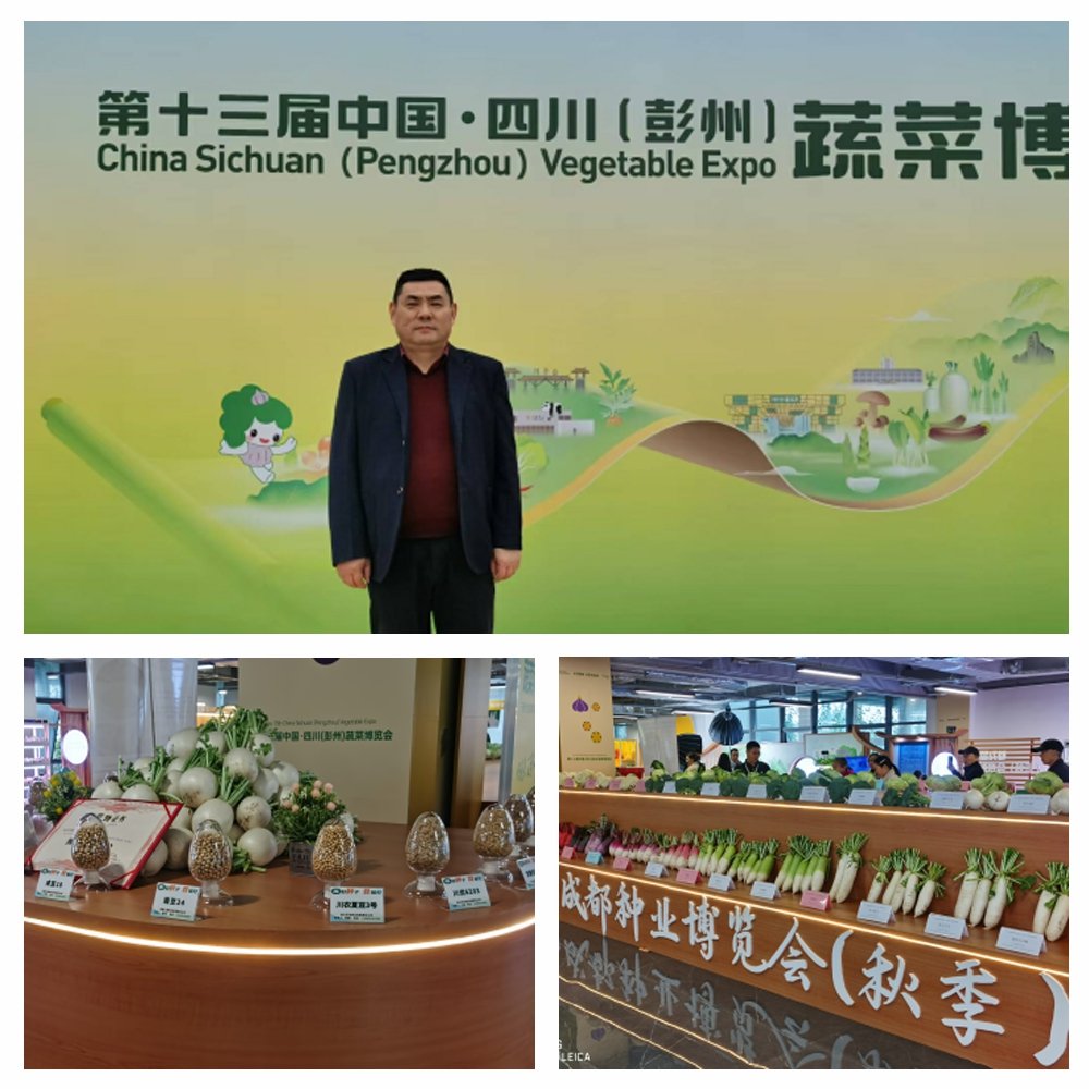 bat365(中国)在线平台官方网站-登录入口