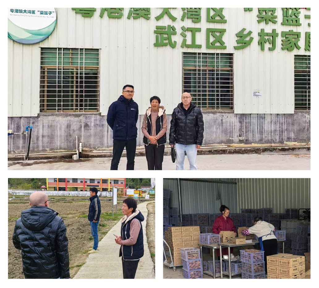 1-2412240942025K bat365(中国)在线平台官方网站-登录入口