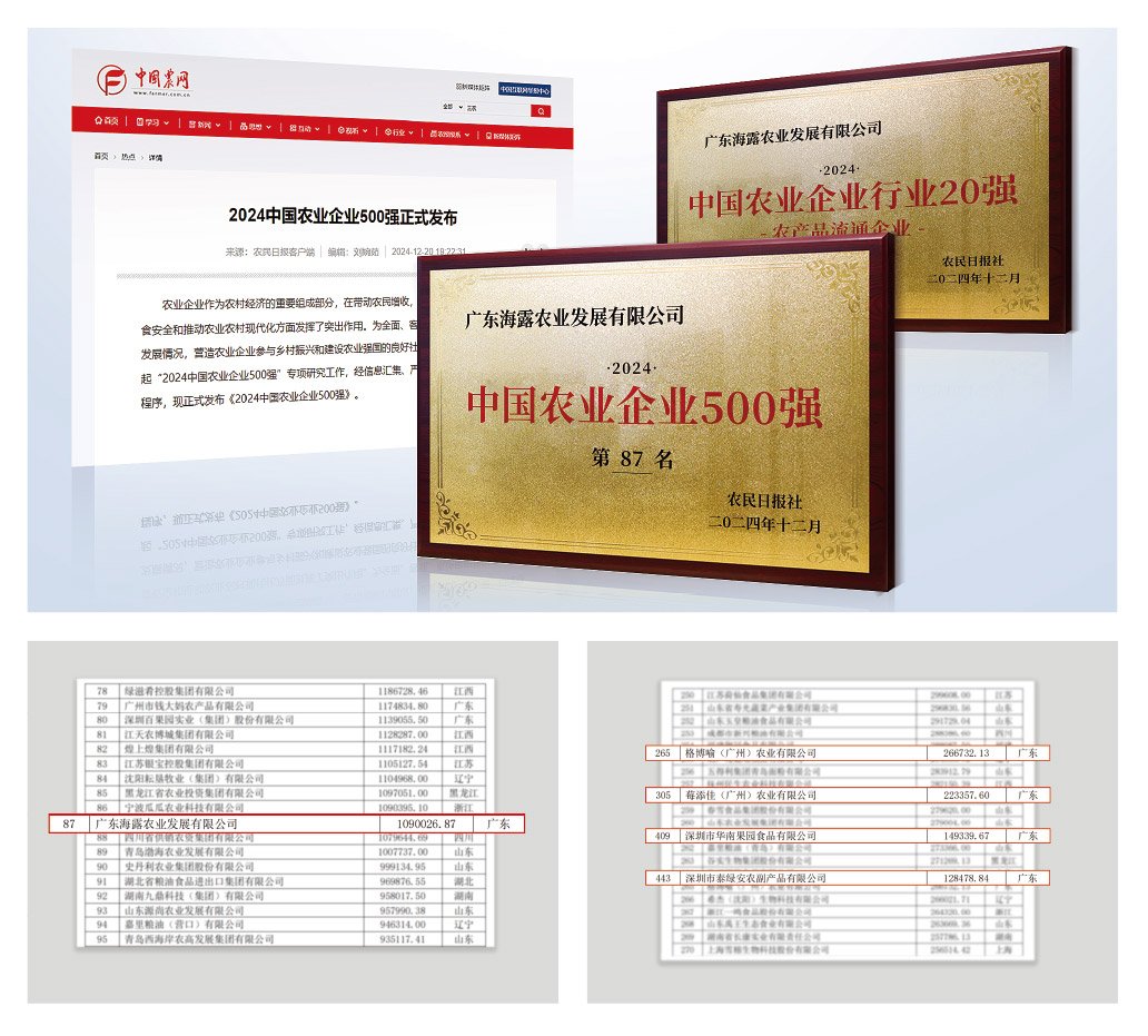 1-2412240943523B bat365(中国)在线平台官方网站-登录入口
