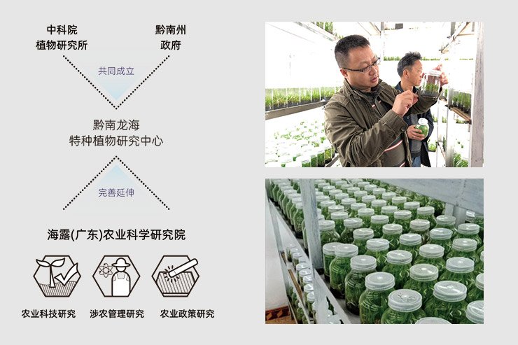 bat365(中国)在线平台官方网站-登录入口