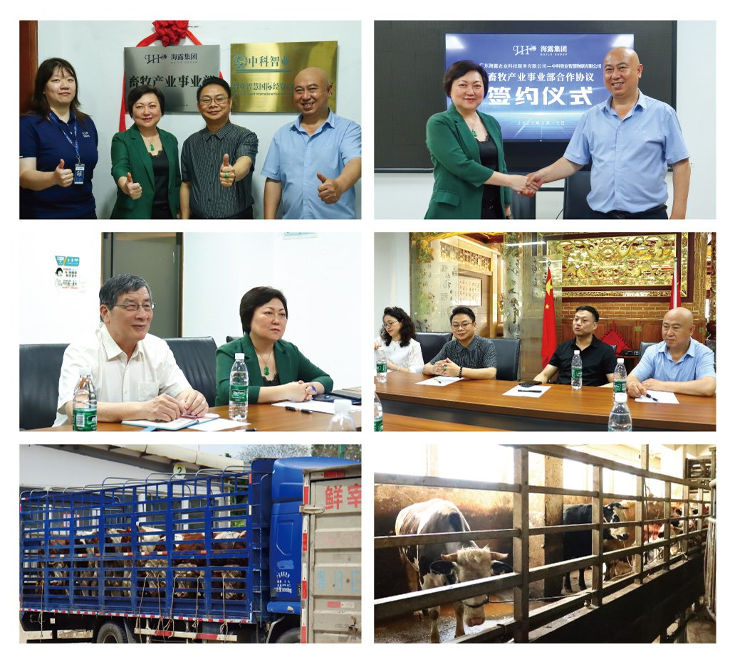 bat365(中国)在线平台官方网站-登录入口
