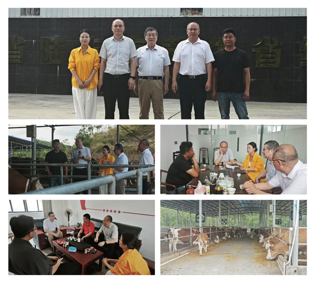 bat365(中国)在线平台官方网站-登录入口