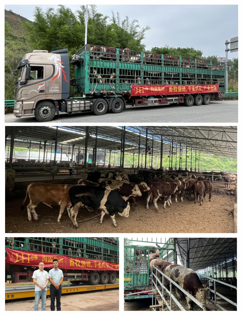 1-25052P9411LK bat365(中国)在线平台官方网站-登录入口