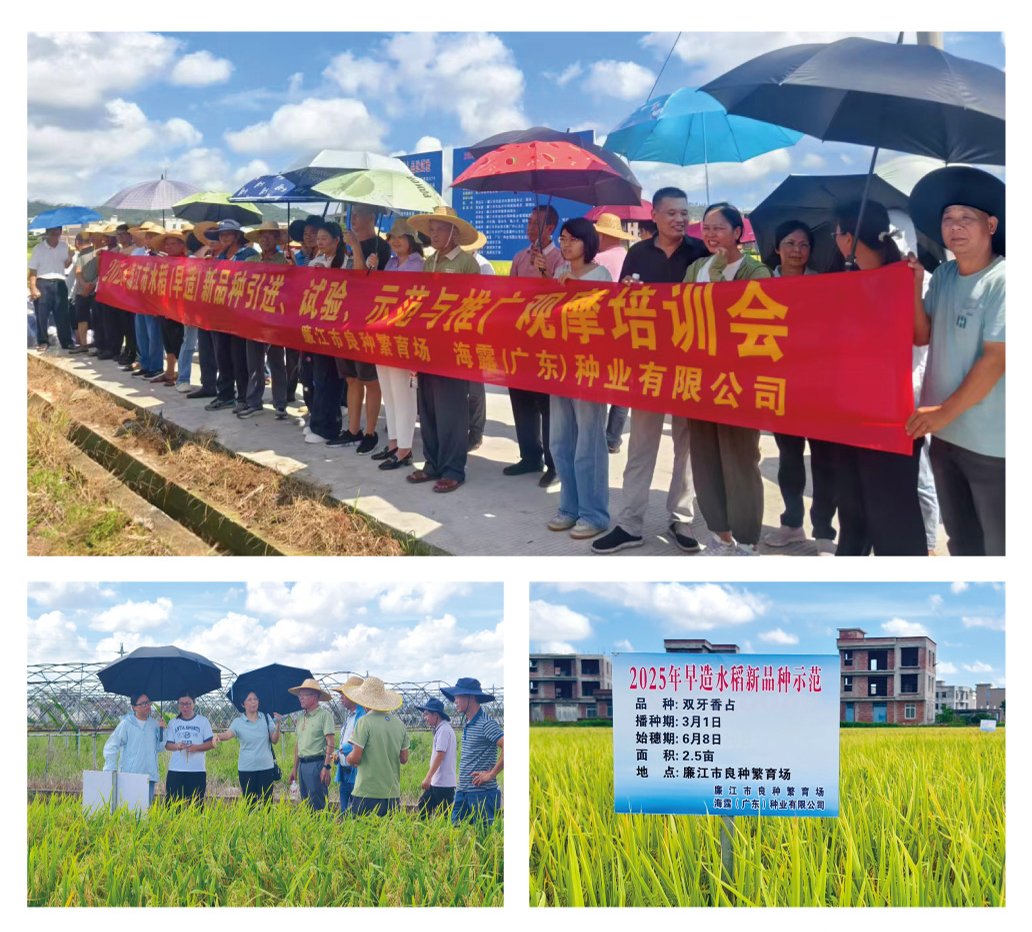 bat365(中国)在线平台官方网站-登录入口
