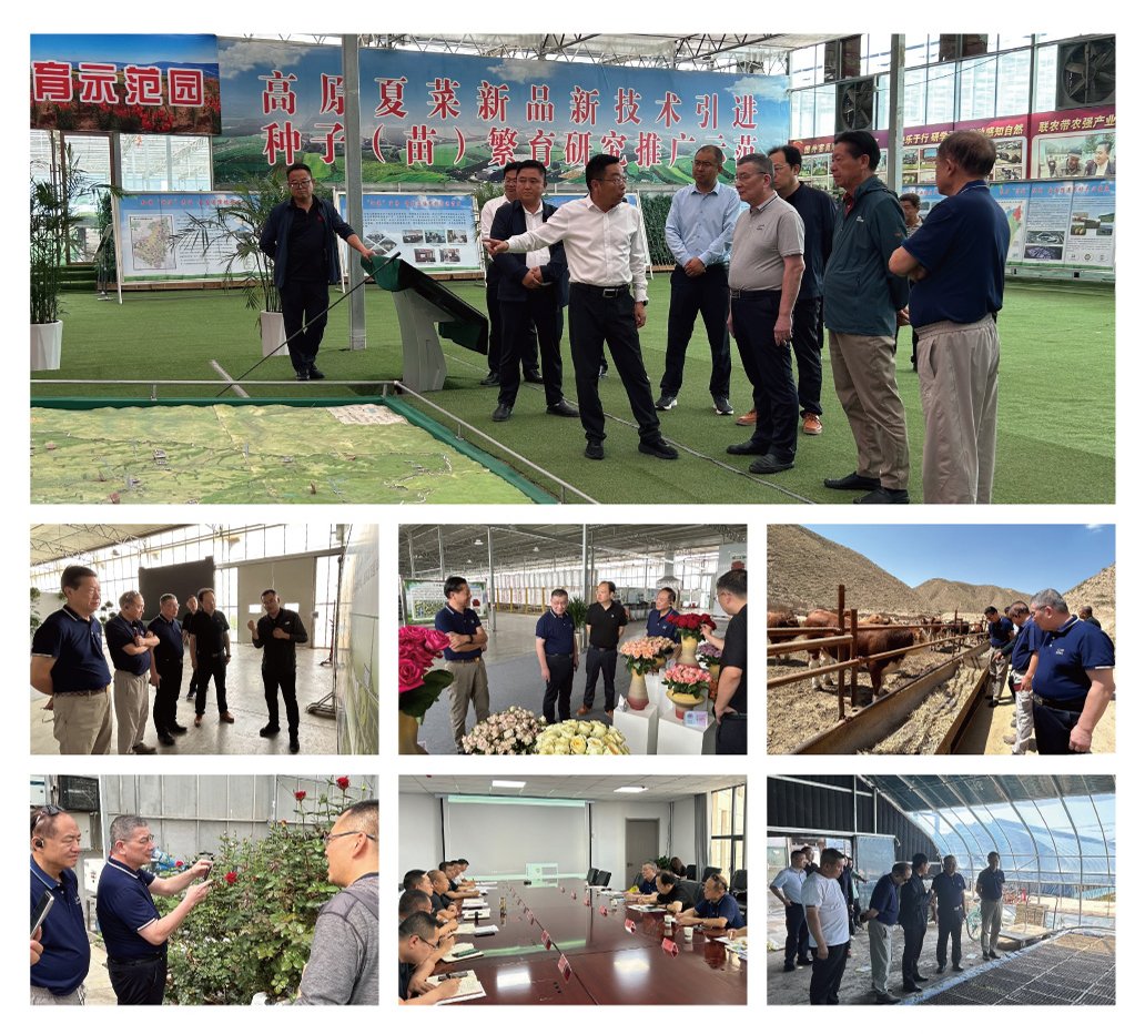 bat365(中国)在线平台官方网站-登录入口