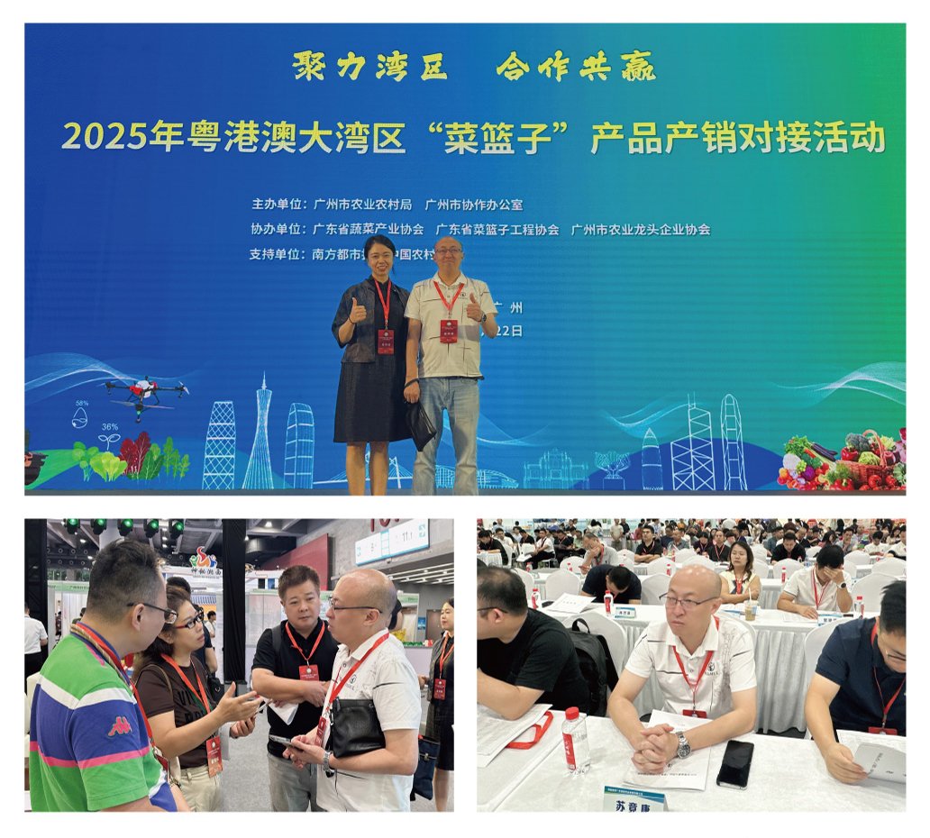 1-250R611033C27 bat365(中国)在线平台官方网站-登录入口