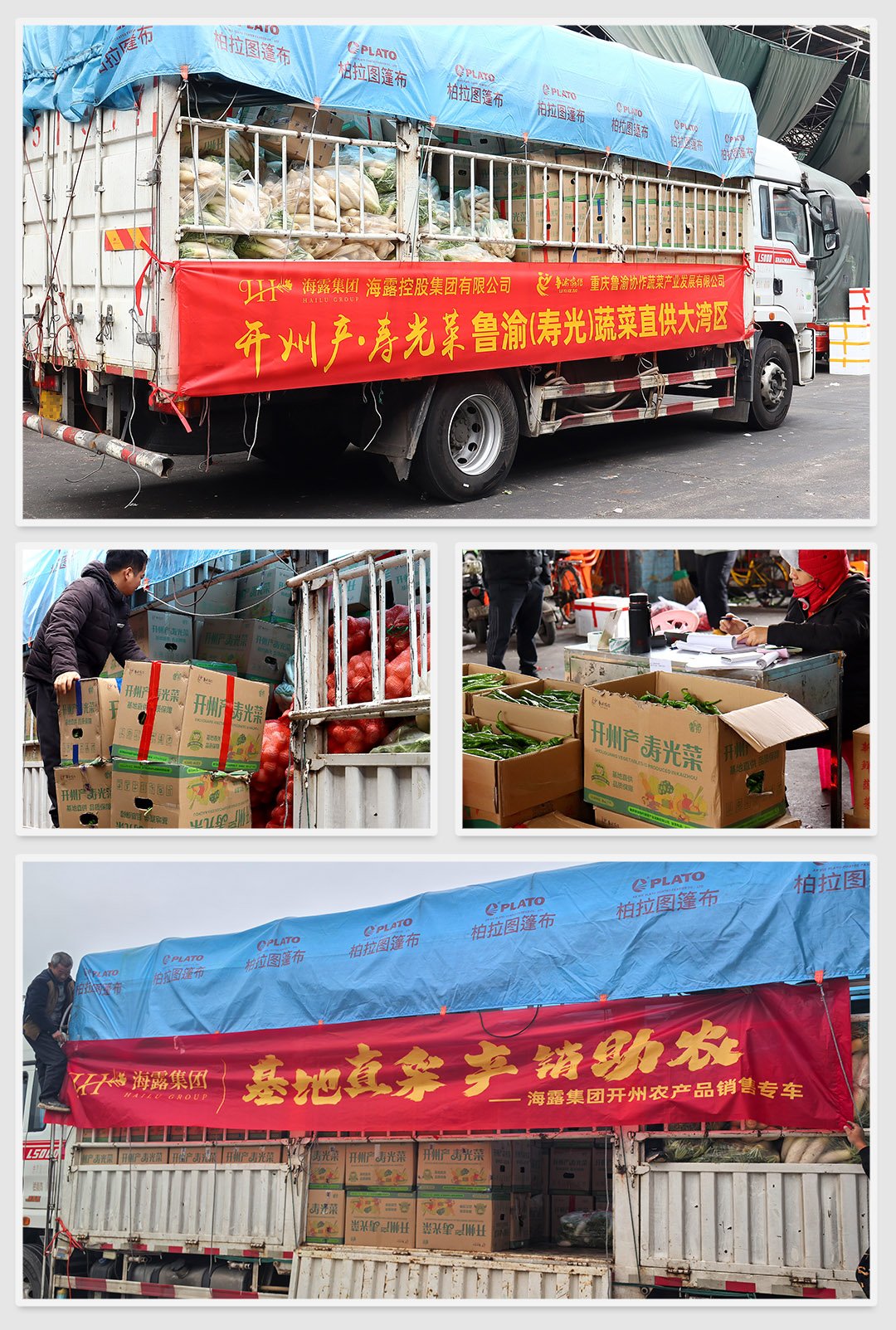 bat365(中国)在线平台官方网站-登录入口