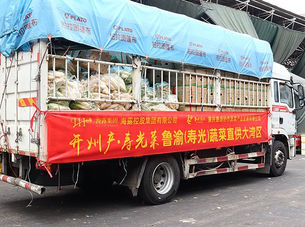 渠路赋能，集团助力沉庆开州蔬菜首发直供大湾区